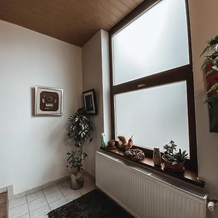 Casa de hóspedes Boutique 3*